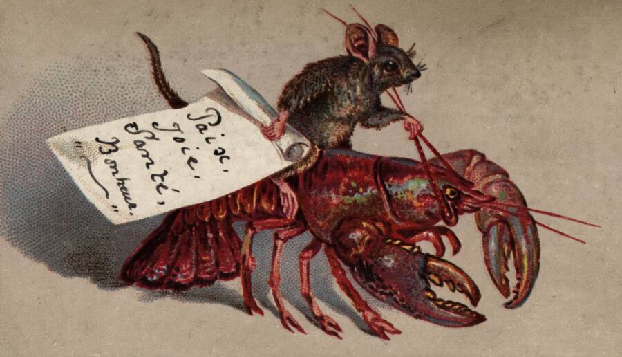 Lobster Christmas Card