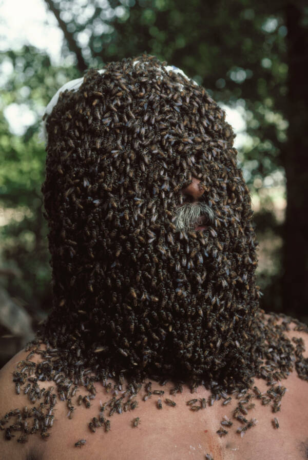 Man With Bees On His Face