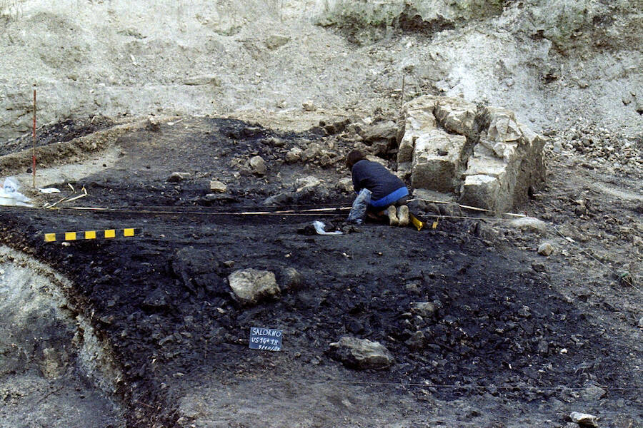 Researcher At Solorno Dos De La Forca