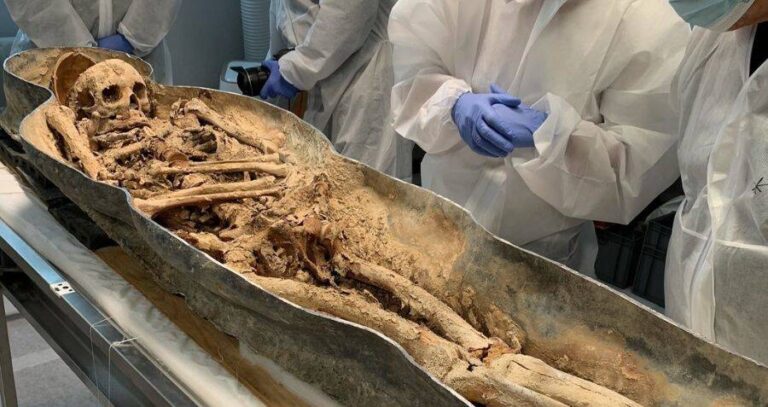 Skeleton Of Le Cavalier In Sarcophagus