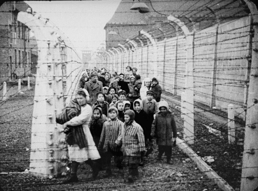Twins At Auschwitz