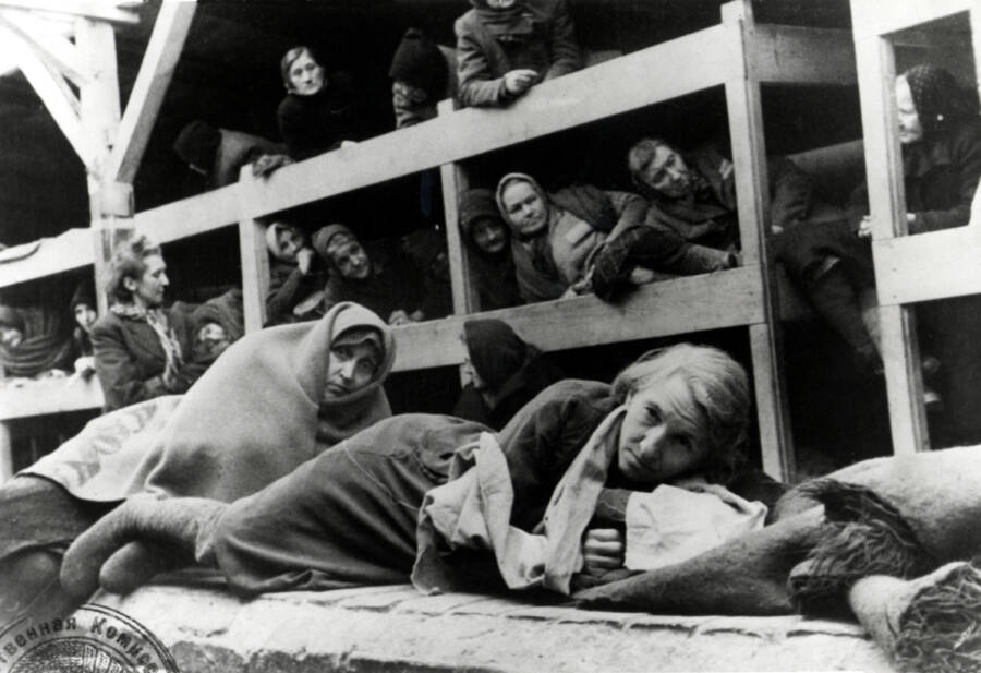 Frauen in Auschwitz