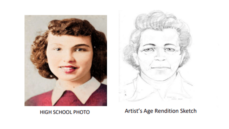 Colleen Audrey Rice Police Sketch