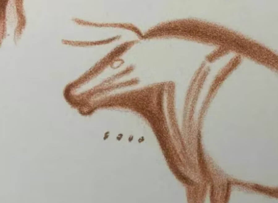 Lascaux Animal Painting Of A Bull