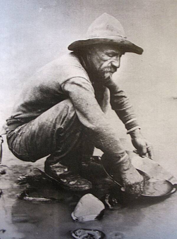 Miner Panning For Gold