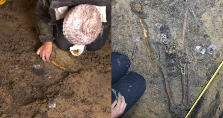 Romanian Warrior Grave Artifacts