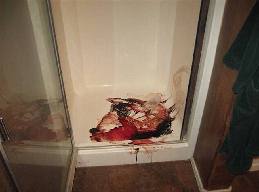 The Bloody Shower