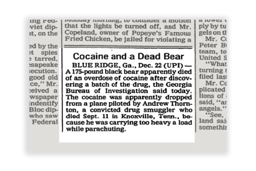 Cocaine And A Dead Bear