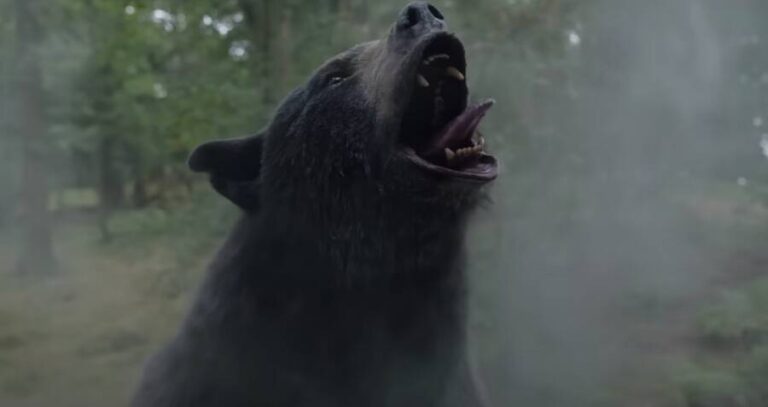 Cocaine Bear Movie Still