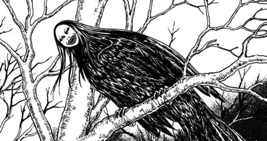witch owl la lechuza bruja