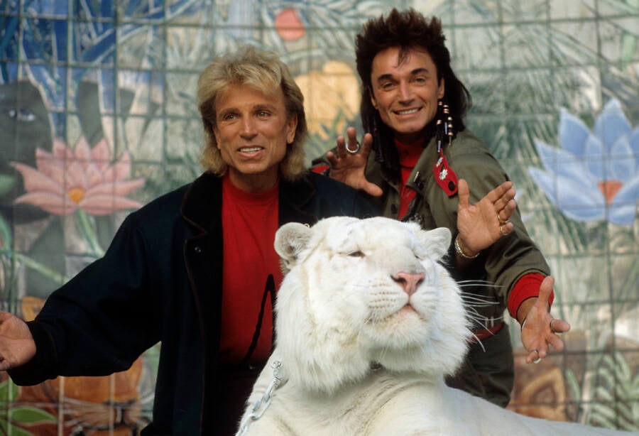 Siegfried And Roy With A White Tiger