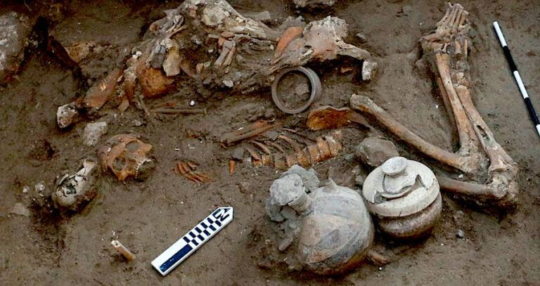 Trepanation Archaeological Discovery