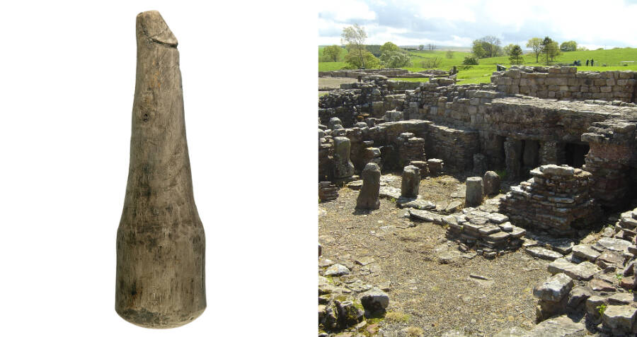 Phallic Wooden Object Found At Roman Fort Likely A Sex Toy