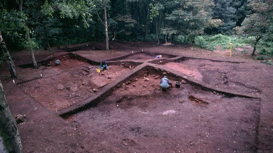 Viking Animal Excavation Site