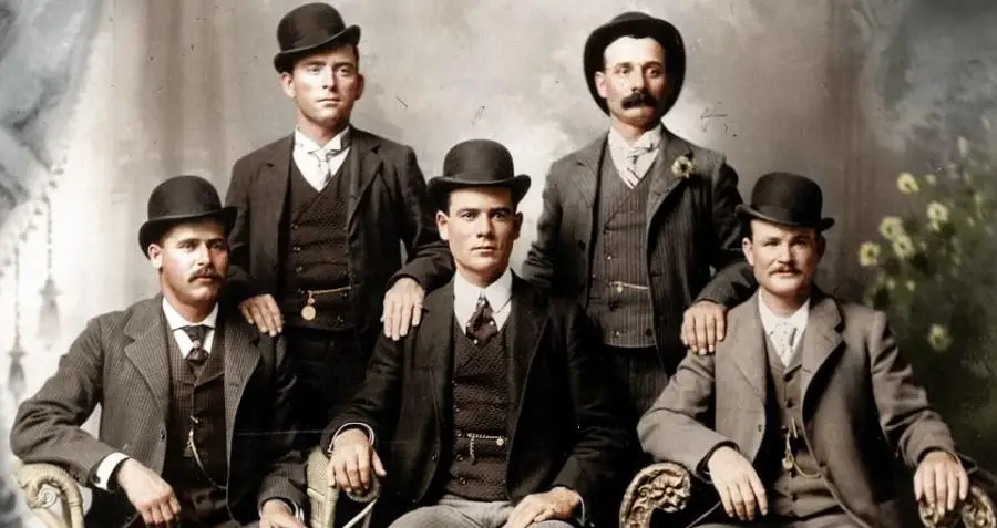 Wild Bunch