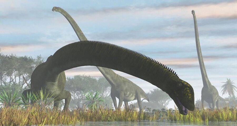 Researchers Identify The Dinosaur With The Longest Neck