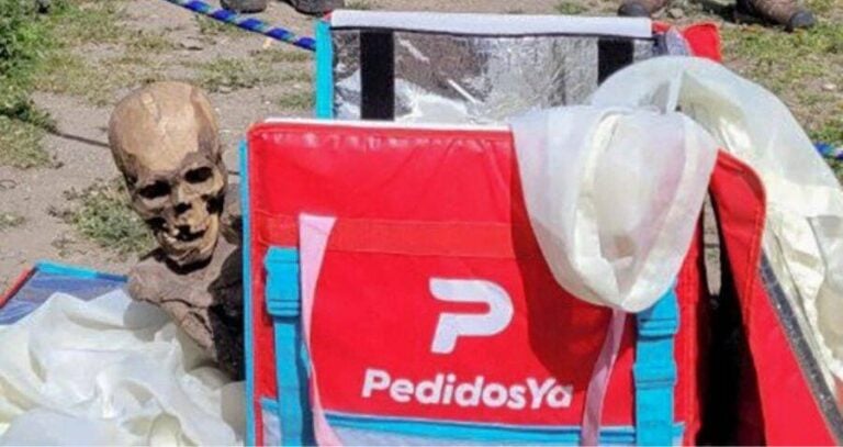 Mummy In Delivery Bag