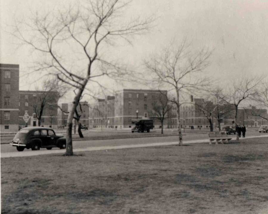 Old Harbor Housing Project In 1940