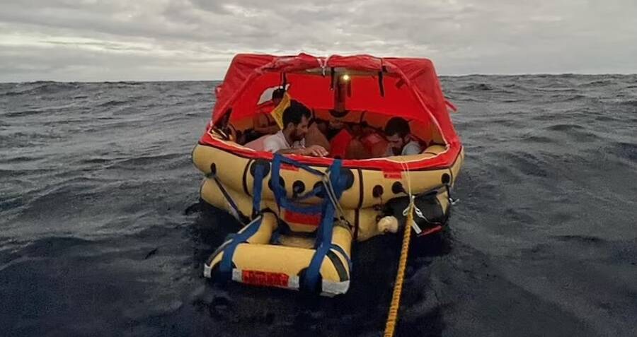 sailboat sinks after hitting whale