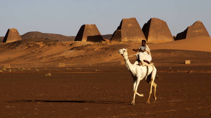 Man Riding Camel At Meroe