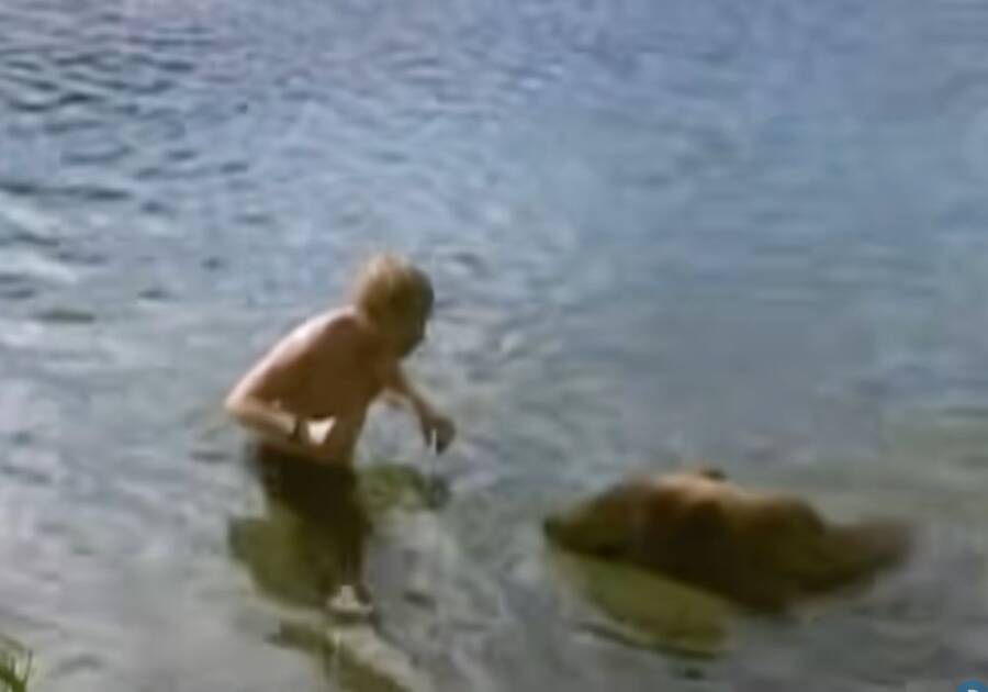 Timothy Treadwell In The Water With A Bear