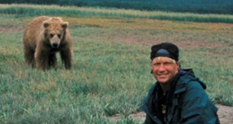 Timothy Treadwell With A Brown Bear Featured
