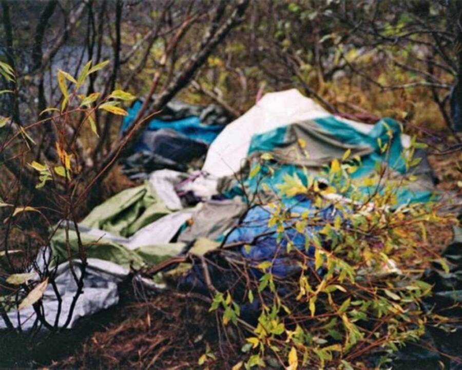 Trampled Tent