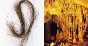 Ancient Hair Found In Cave