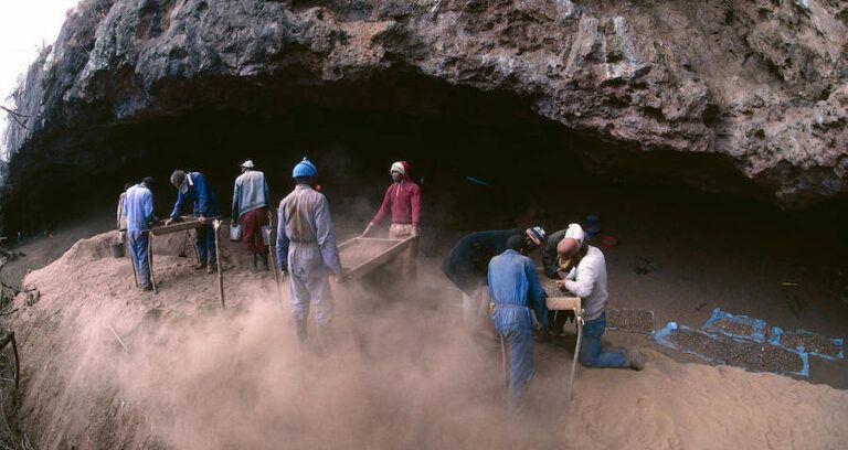 Border Cave Excavation