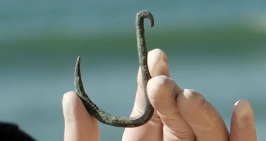 This 6,000-Year-Old Hook Found In Israel Was Likely Used To Catch Sharks