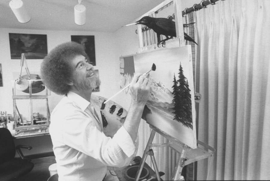 Bob Ross With His Pet Crow
