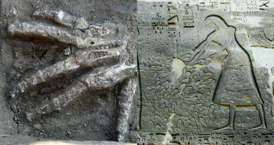 Severed Hands May Have Been A Spoil Of War In Ancient Egypt