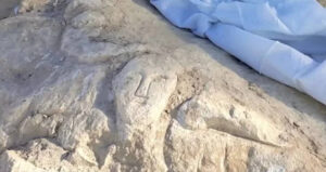 Carved Face And Cornucopia