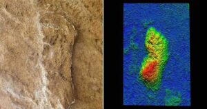 Oldest Homo Sapiens Print