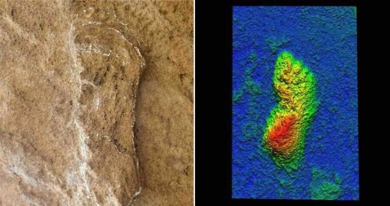 Oldest Homo Sapiens Print