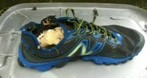 Shoe With Foot Inside