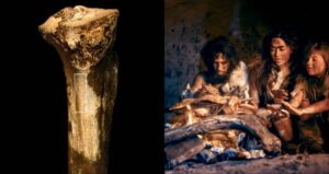 Cannibal Bone Maker And Neanderthal
