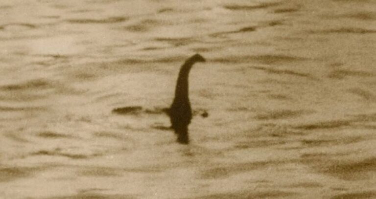 Photo Of Loch Ness Monster
