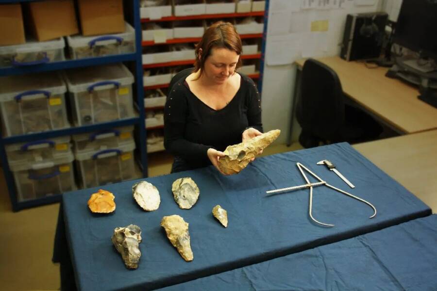 Archaeologist With Handaxes
