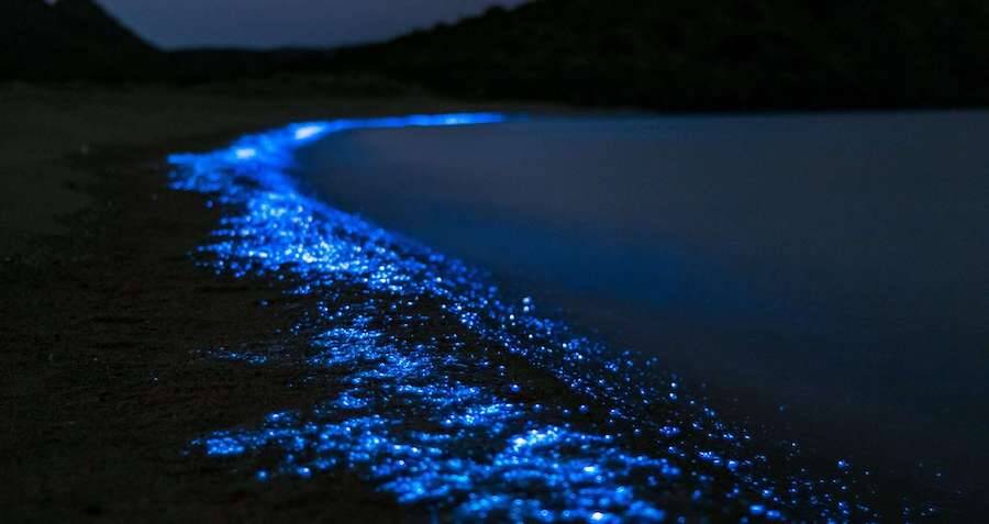 Explore The Sparkling Sea Of Stars In The Maldives