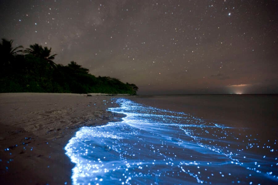 Sea Of Stars Maldives