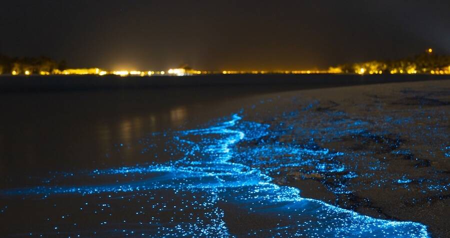 The Sea of Stars on Vaadhoo Island, Maldives