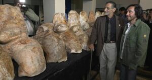 Colossal Whale Vertebrae Found In Peru