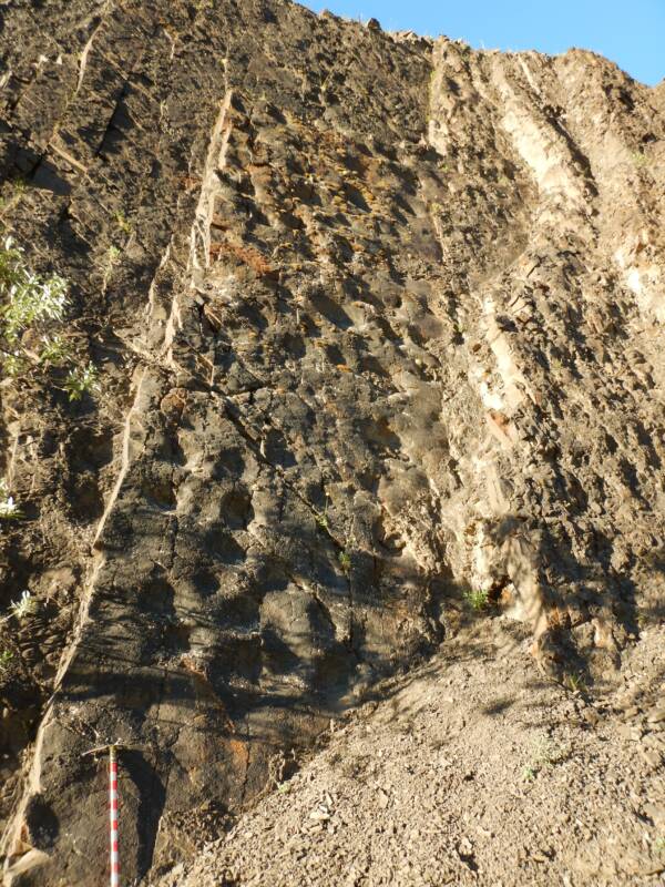 Dinosaur Footprints On Alaskan Cliff