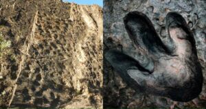 Dinosaur Tracks In Alaska