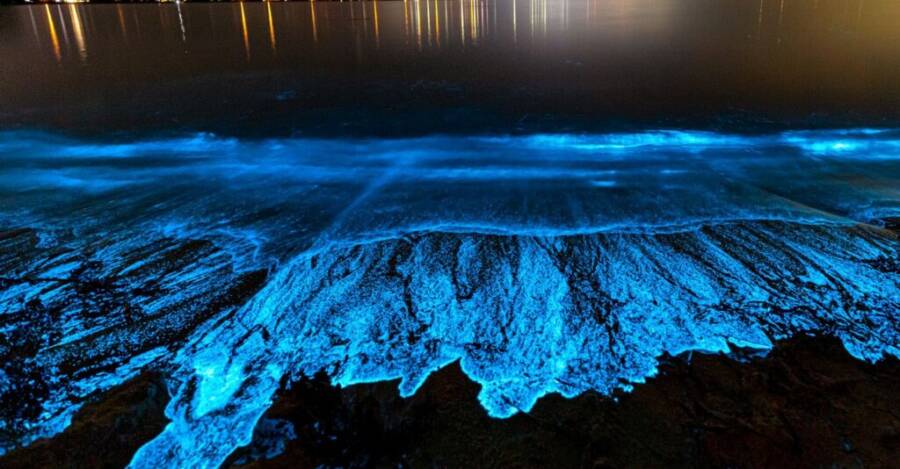 The Sea of Stars on Vaadhoo Island, Maldives