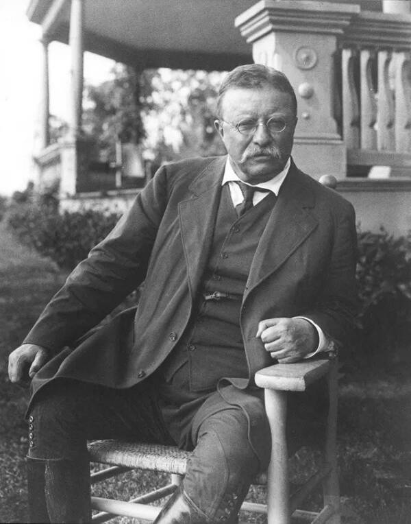 Theodore Roosevelt Sitting