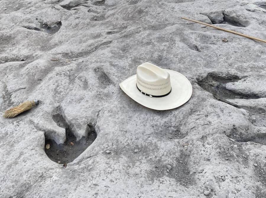Dinosaur Footprints In Texas Park