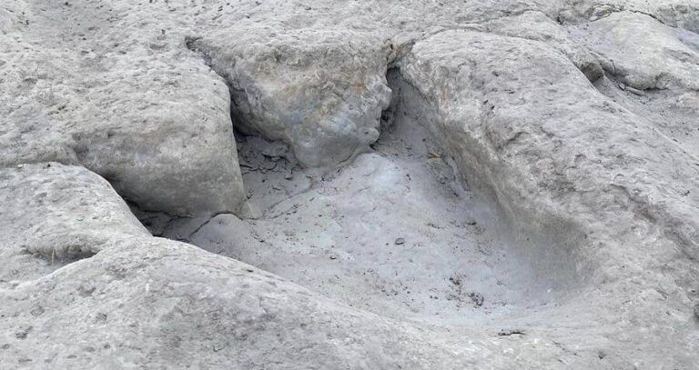 Dinosaur Tracks Uncovered In Texas