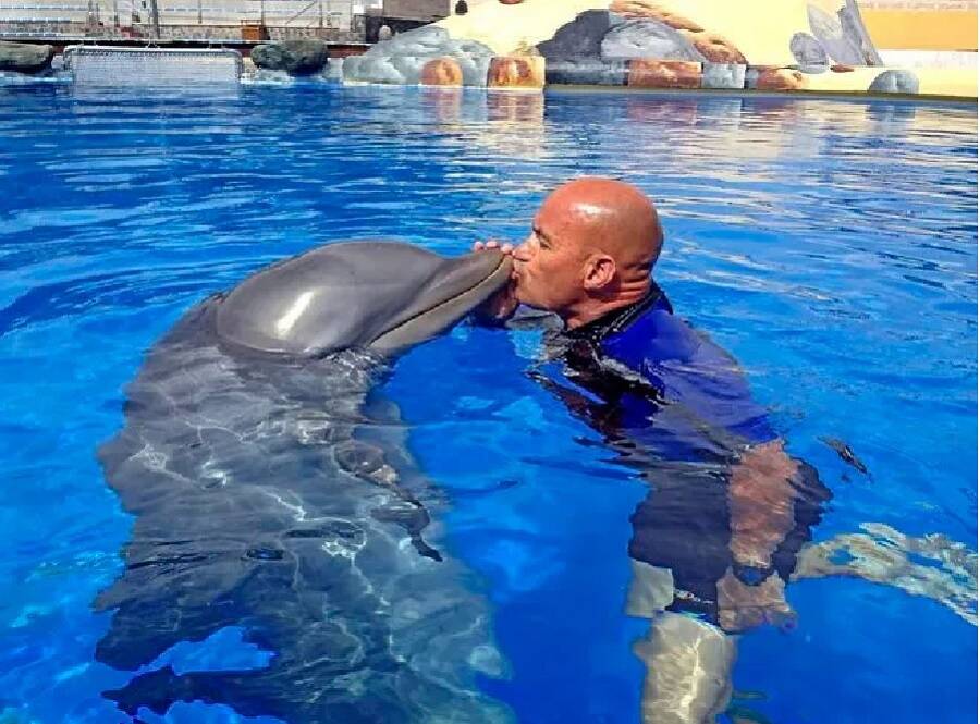 Jose Barbero With A Dolphin